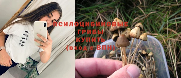 Альфа ПВП Магас