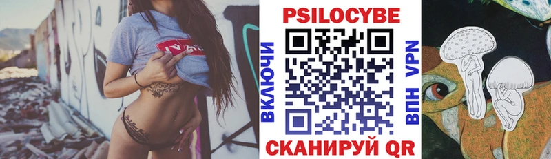 Купить  Шимановск  Галлюциногенные грибы Psilocybe 